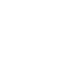 Nodex Logo